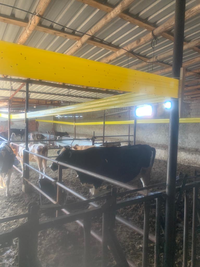 uşak çözüm ilaçlama